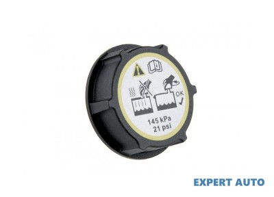 Capac radiator Ford B-Max (2012-&amp;gt;) #1 foto