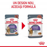 Royal Canin Appetite Control Care, hrană umedă pisici, adult sterilizat, reglarea apetitului, (&icirc;n sos), 12 x 85g