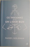 Ce inseamna sa fii un lider bun. De ce este importanta inteligenta emotionala &ndash; David Goleman (cateva sublinieri)
