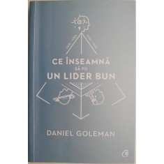 Ce inseamna sa fii un lider bun. De ce este importanta inteligenta emotionala &ndash; David Goleman (cateva sublinieri)