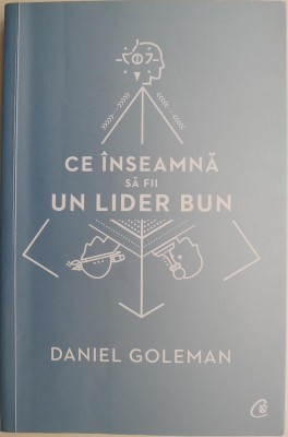 Ce inseamna sa fii un lider bun. De ce este importanta inteligenta emotionala &amp;ndash; David Goleman (cateva sublinieri) foto