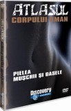 Atlasul Corpului Uman Pielea Muschii Si Oasele - Sound &amp; Image/ Discovery Channel