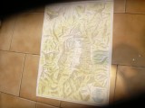 Harta Turistica ONT Carpati - Masivul Bucegi - RPR 1960 , 63x45cm