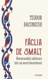 Faclia de smalt. Recomandari iubitoare intr-un secol dezordonat &ndash; Teodor Baconschi