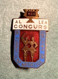 Insigna al 8 VIII lea concurs al formatiilor artistice de amatori