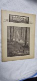 REVISTA CARPATII VANATOARE PESCUIT CHINOLOGIE , NR. 7 / 1944