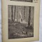REVISTA CARPATII VANATOARE PESCUIT CHINOLOGIE , NR. 7 / 1944