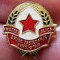 I.957 INSIGNA JUGOSLAVIA YUGOSLAVIA STICKPIN MUZEJ JAJCE h17mm