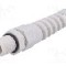 Presetupa poliamida, M12, IP68, BM GROUP - BM4912S
