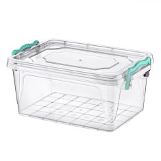 Cutie Depozitare Plastic, Capacitate 3L, Transparentă, Manere Verzi foto