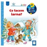Ce facem iarna? (2-4 ani) - Andrea Erne, Monica Elena Chiru