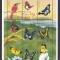 Antigua &amp; Barbuda - FLUTURI - BL - MNH