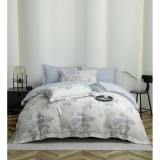 Cumpara ieftin Lenjerie Din Bumbac, Tip Finet PREMIUM, Luxury, Cu Elastic, Ambalata in Cutie - JOJ785