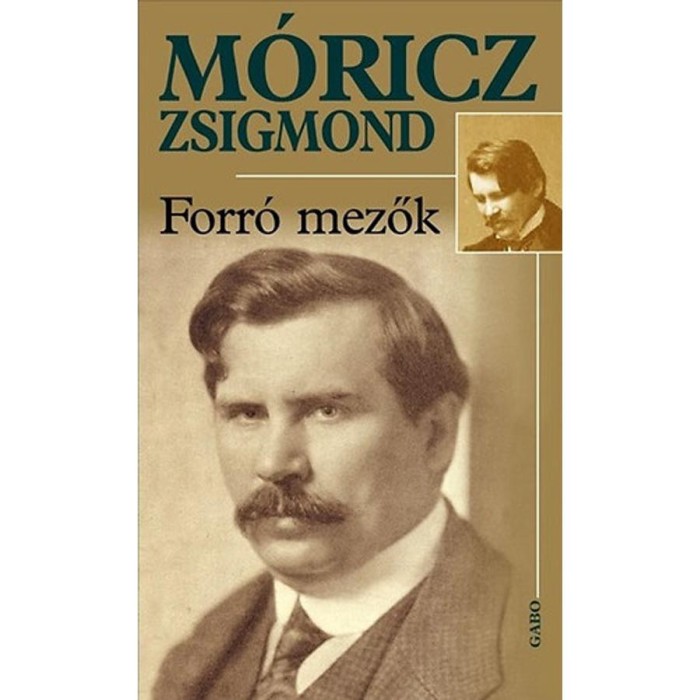 Forr&oacute; mezők - M&oacute;ricz Zsigmond