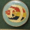 Insigna Pionier PENTRU APARAREA PATRIEI