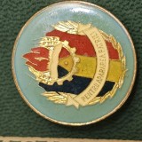 Insigna Pionier PENTRU APARAREA PATRIEI