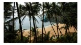 Tablou Canvas, "Vraja unei plaje ascunse tropicale", Palmieri, Plajă, Nisip, Ocean, Valuri, Cer, Peisaj, Tropice, Natură, Relaxare, 39 x 26 cm, CMCLAS