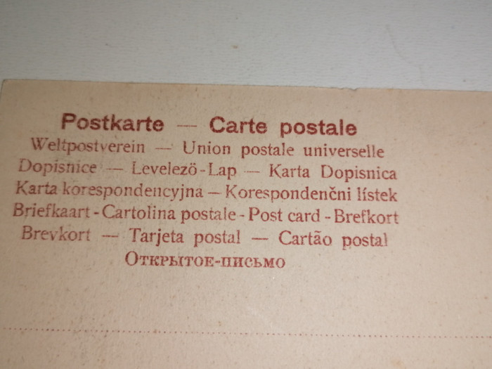 CARTE POSTALA / FELICITARE - ANII 1900