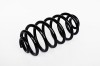Arc Suspensie Spate 65872 SR.037