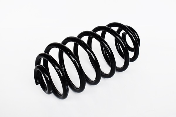 Arc Suspensie Spate 65872 SR.037