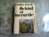 OCHIUL SI LUCRURILE - ANDREI PLESU