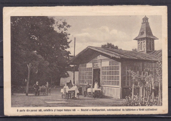 OCNA MURES COFETARIE O PARTE DIN PARCUL BAI