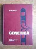 Genetica - Petre Raicu, 1974, Editie Cartonata - Medicina, 596 pagini