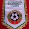 Fanion fotbal - Federatia de Fotbal din BULGARIA