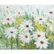 Tablou 3D cu flori pictat manual - Margarete pe camp - 80x60cm ulei pe panza in cutit