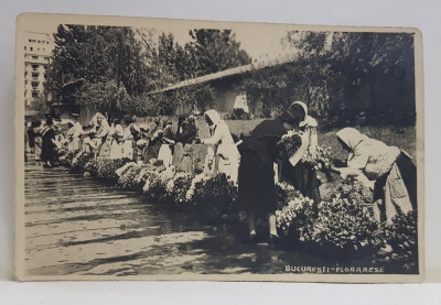 FLORARESE PE BULEVARDUL I.C. BRATIANU , BUCURESTI , FOTOGRAFIE TIP CARTE POSTALA , PERIOADA INTERBELICA foto