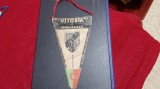 Fanion Vitoria de Guimaraes