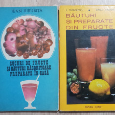 Sucuri de fructe și băuturi răcoritoare /Băuturi și preparate din fructe (2 vol)