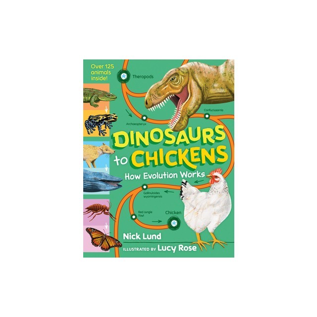 Dinosaurs to Chickens: How Evolution Works
