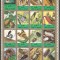 Umm Al Qiwain 1972 Mi 1338/53 bloc MNH - Insecte