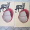 Jiang Rong - Totemul lupului (2 volume)