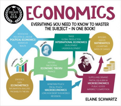 A Degree in a Book: Economics: Everything You Need to Know to Master the Subject - In One Book! foto