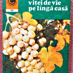 Cultura vitei de vie pe langa casa. Editura Ceres, 1981 - Avram D. Tudosie