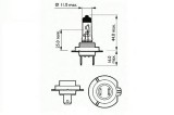 Bec Far H7 12V 55W Px26d Basic Sct 45421 202907