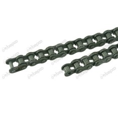 Lant 10A-1 - P 15.875 MM - 1 m
