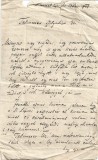 A3020N Scrisoare a contesei Pataky Louise din Muncelu, varmeghia Alba, 1842, către un solgabirău din T&acirc;rgu Lăpuș, Maramureș