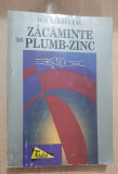 Zăcăminte de plumb-zinc - Ion Berbeleac