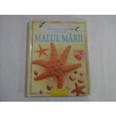 MICA ENCICLOPEDIE A VIETII DE PE MALUL MARII - RAMONA CERNEA