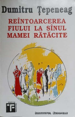REINTOARCEREA FIULUI LA SINUL MAMEI RATACITE-DUMITRU TEPENEAG-218730 foto