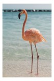 Tablou Canvas, "Flamingo elegant pe malul mării", Flamingo, Plajă, Apă, Cer, Nisip, Eleganță, Tranquilitate, Roz, Natură, 26 x 39 cm, CMCLASS
