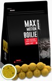 Haldorado - Boilies Max Motion Boilie Long Life 16mm, 800g - Ananas Dulce