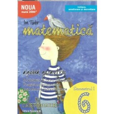 Matematica. Algebra, geometrie. Clasa a VI-a. Semetrul 1 - Ion Tudor