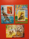 GUINEA ECUATORIALĂ, FAUNA - COLIȚE ȘTAMPILATE