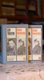 Cumpara ieftin Anna Karenina (2 volume - cartonate) - Lev Tolstoi