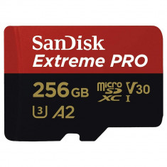 Card Memorie Extreme Pro MicroSDXC 256GB foto
