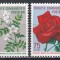 Turcia 1960 - Festivalul Florilor de Primăvară, Istanbul, MNH